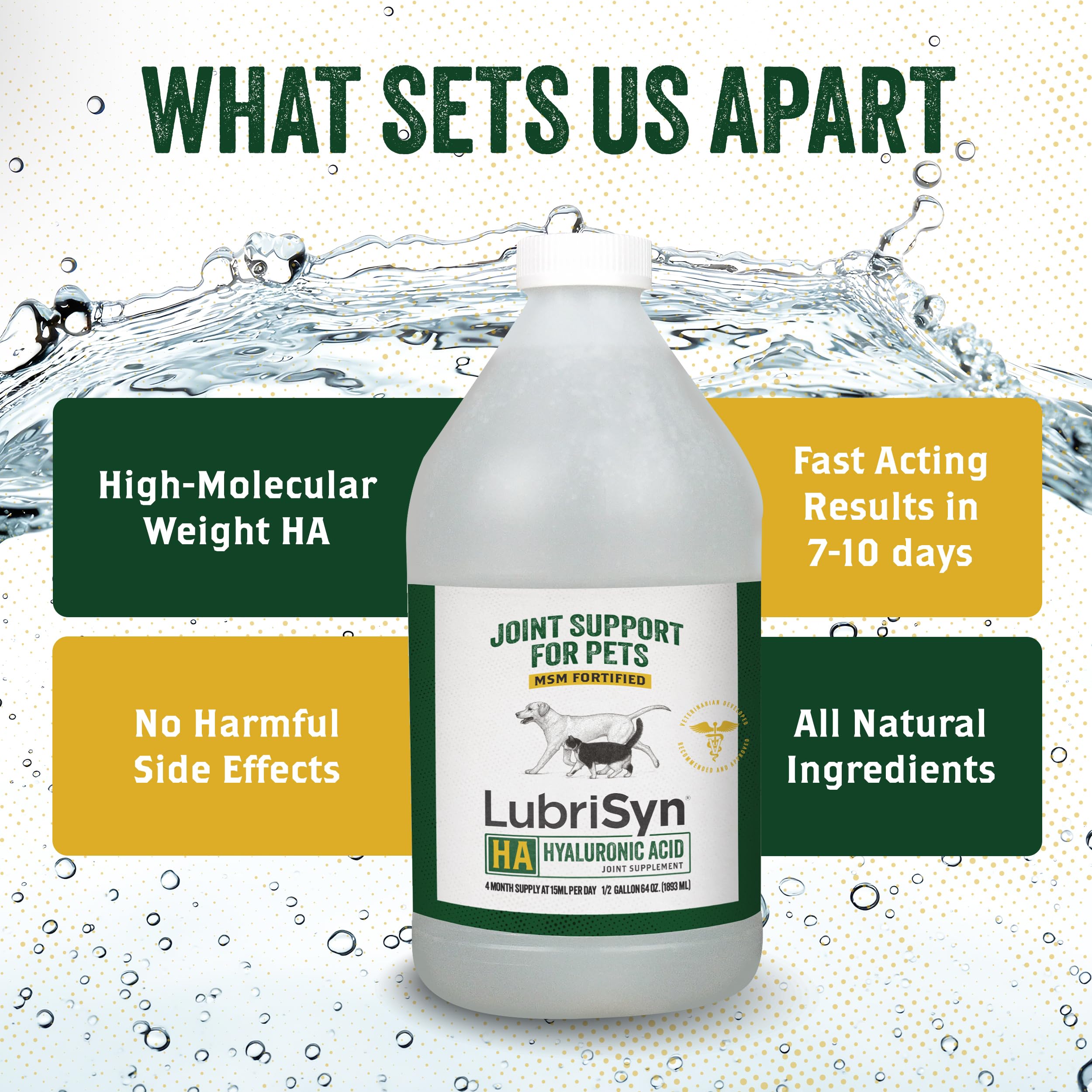 Chat consommant LubriSyn liquide pour confort articulaire quotidien