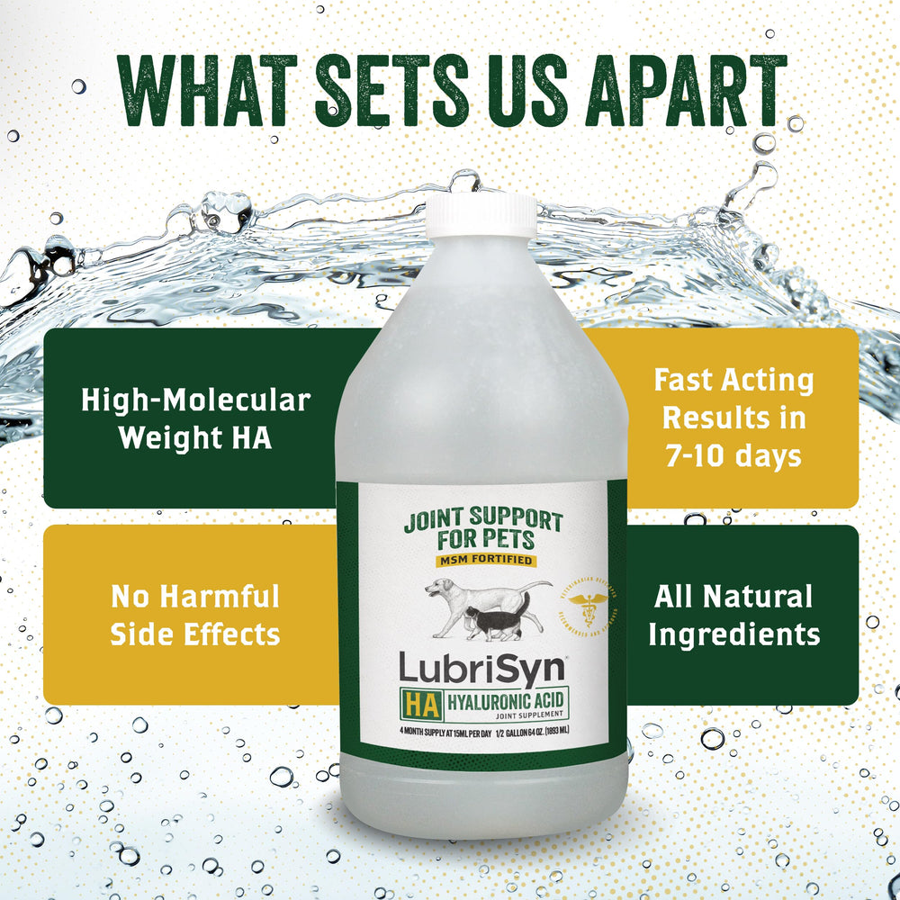 Chat consommant LubriSyn liquide pour confort articulaire quotidien