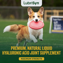 Lubrisyn seringue d’administration pour dosage précis et facile