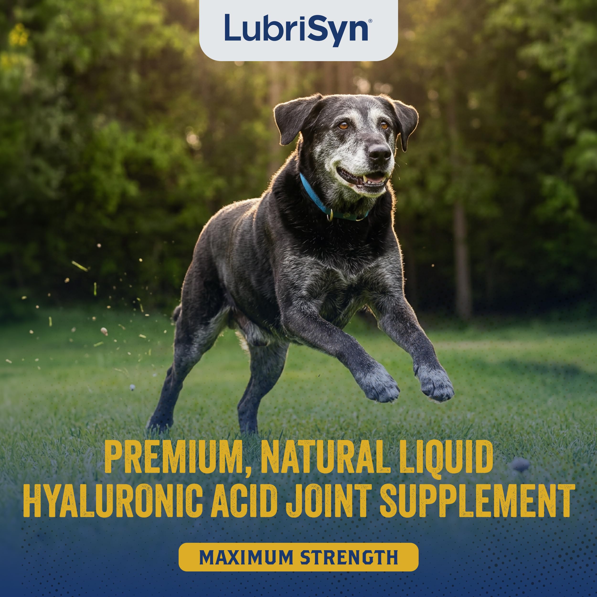 LubriSyn versement sur nourriture illustrant administration facile quotidienne