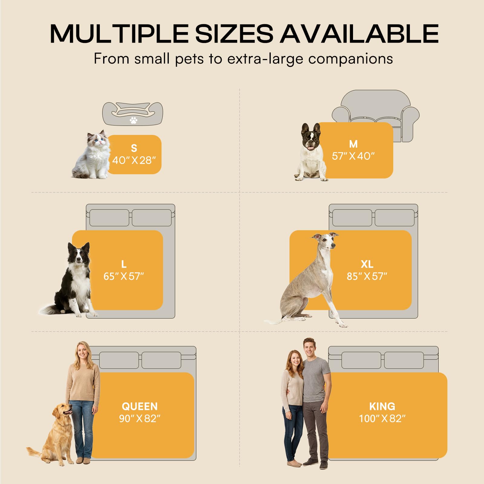 Comparaison taille Luciphia à côté d'un chien pour choisir la bonne dimension