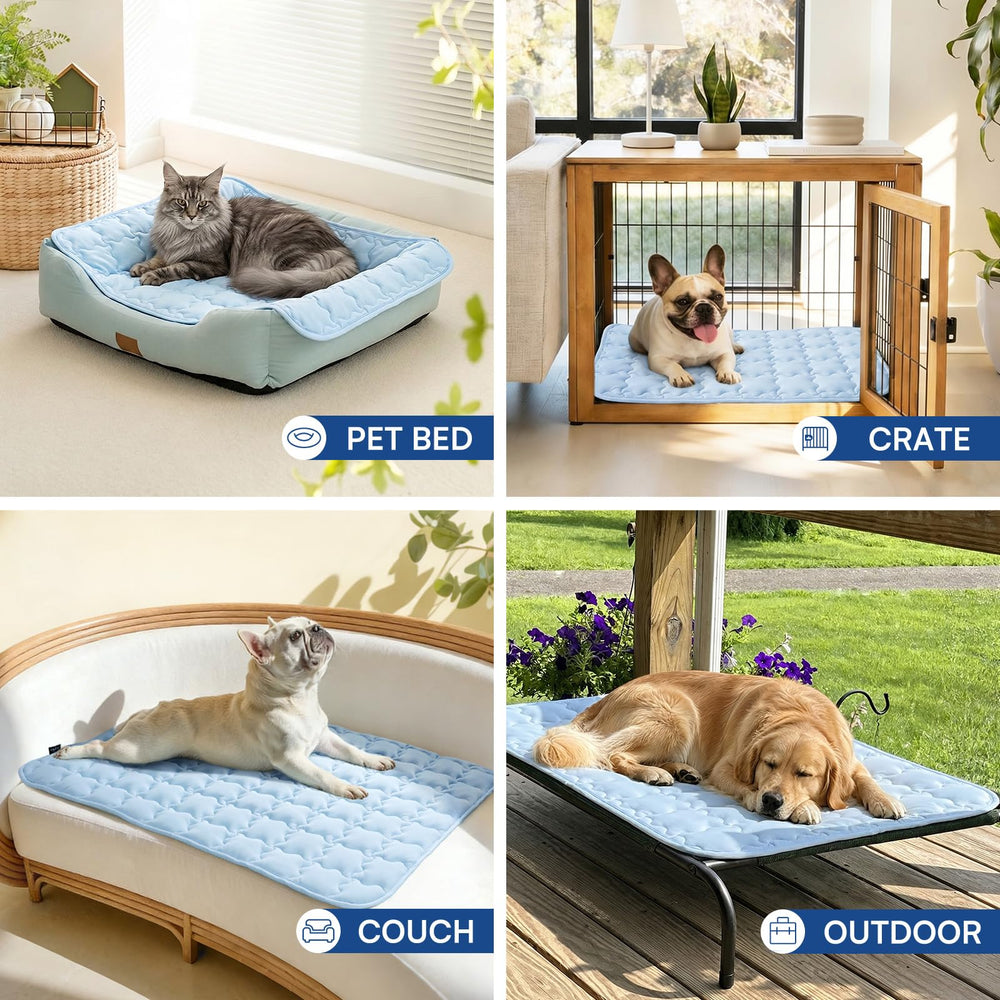 Luciphia comparaison taille à côté d’un coussin pour échelle