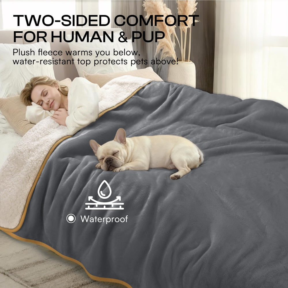 Luciphia taille XL couvrant un grand canapé pour protection totale