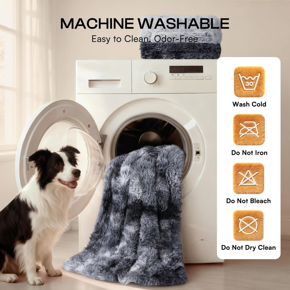 Luciphia comparaison taille montrant proportions pour chiens