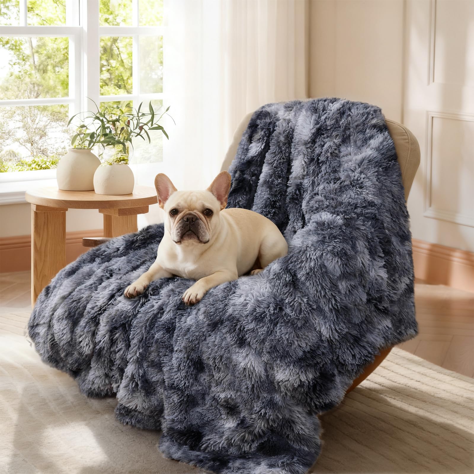 Luciphia couverture installée sur banquette arrière, protège la voiture