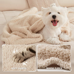 luciphia gros plan sherpa douceur visible apaisement animal