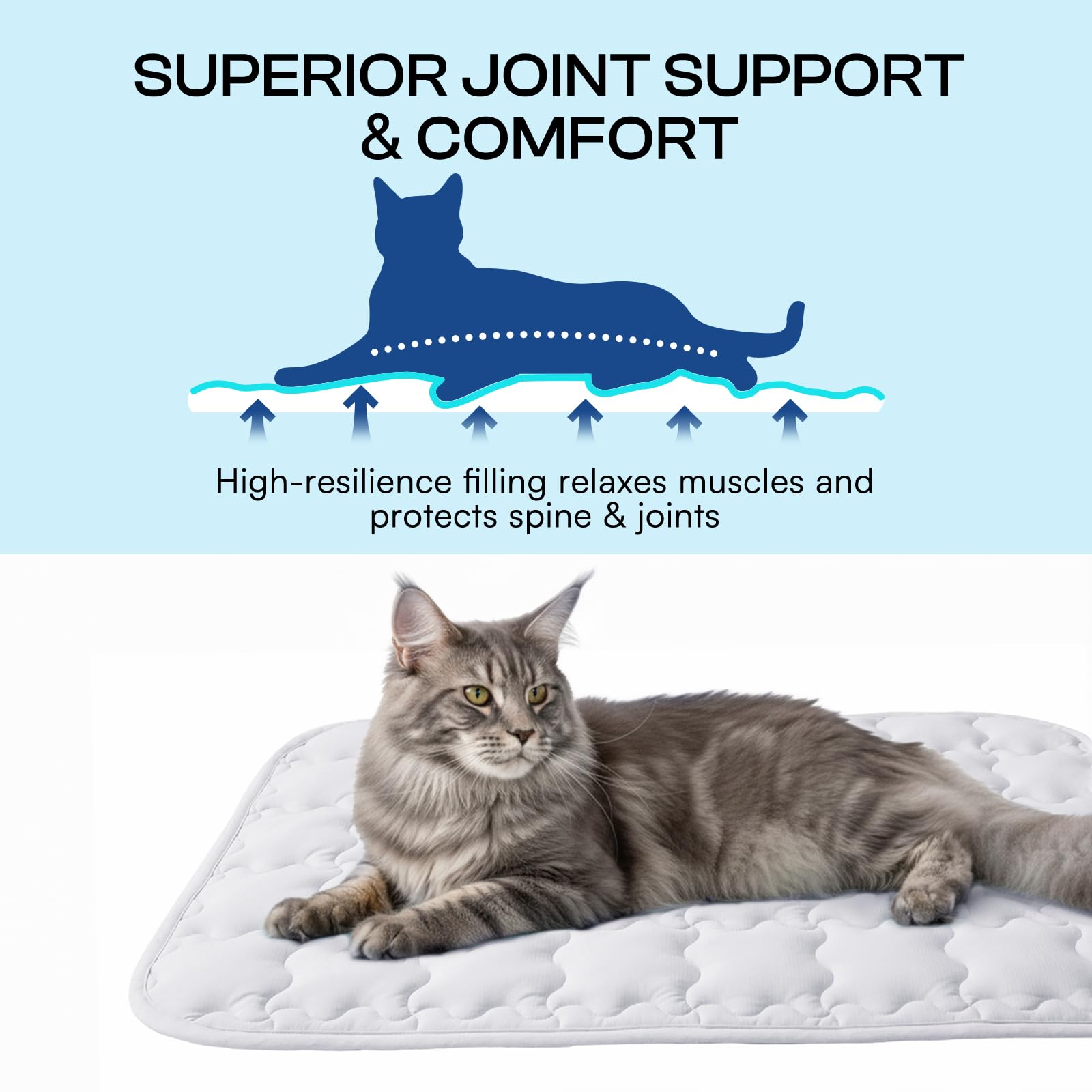Luciphia chien couché utilisant le tapis pour rester au frais