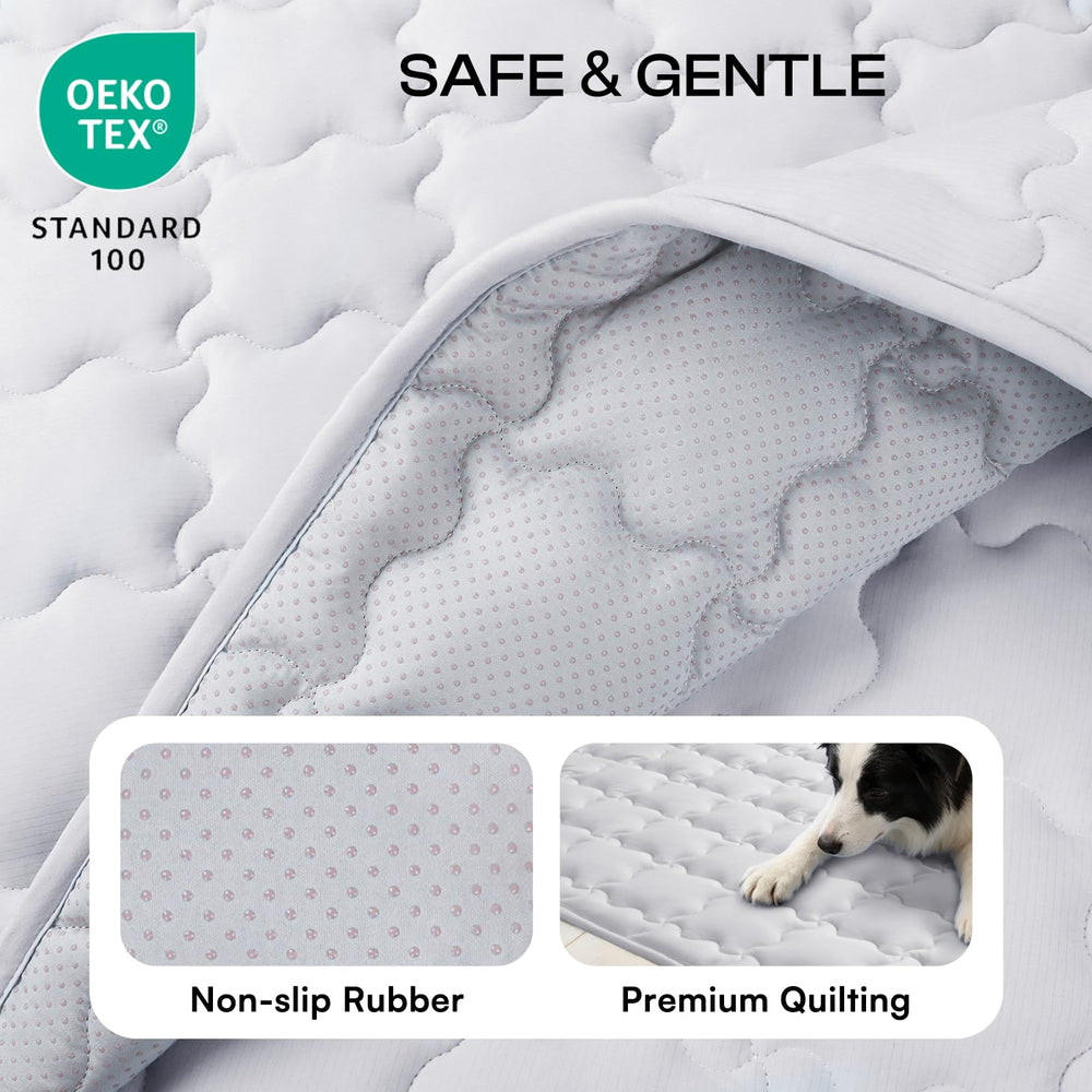 Luciphia tapis en usage avec chien offrant confort rafraîchissant sans électricité