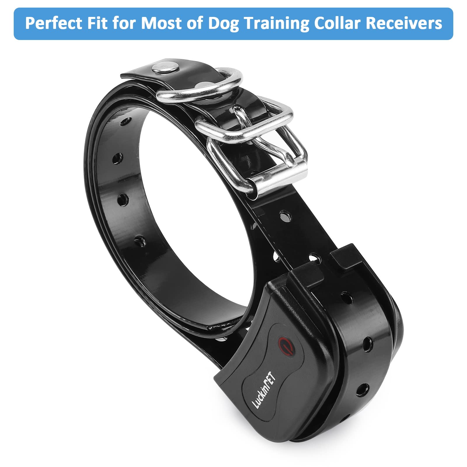 LuckinPET boucle et D-ring en acier inoxydable garantissant fixation solide