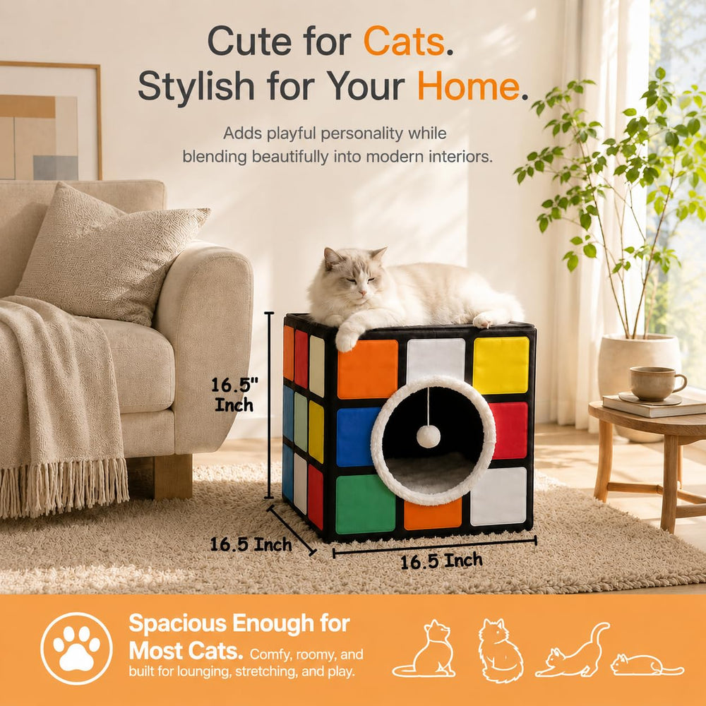LUCKITTY comparaison taille avec chat adulte illustrant espace suffisant