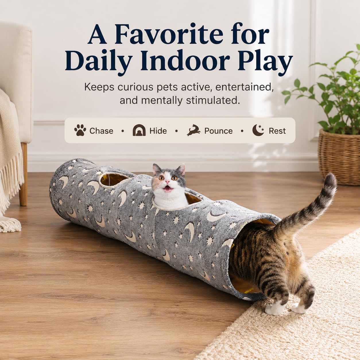 LUCKITTY comparaison taille avec règle montrant 120 cm d'espace