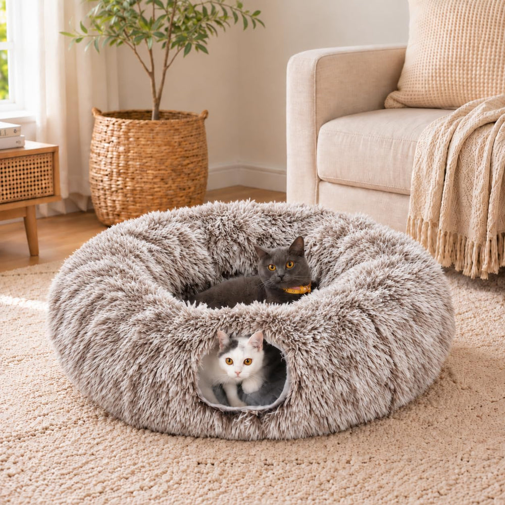 LUCKITTY gros plan tissu peluche, montre douceur et chaleur pour siestes