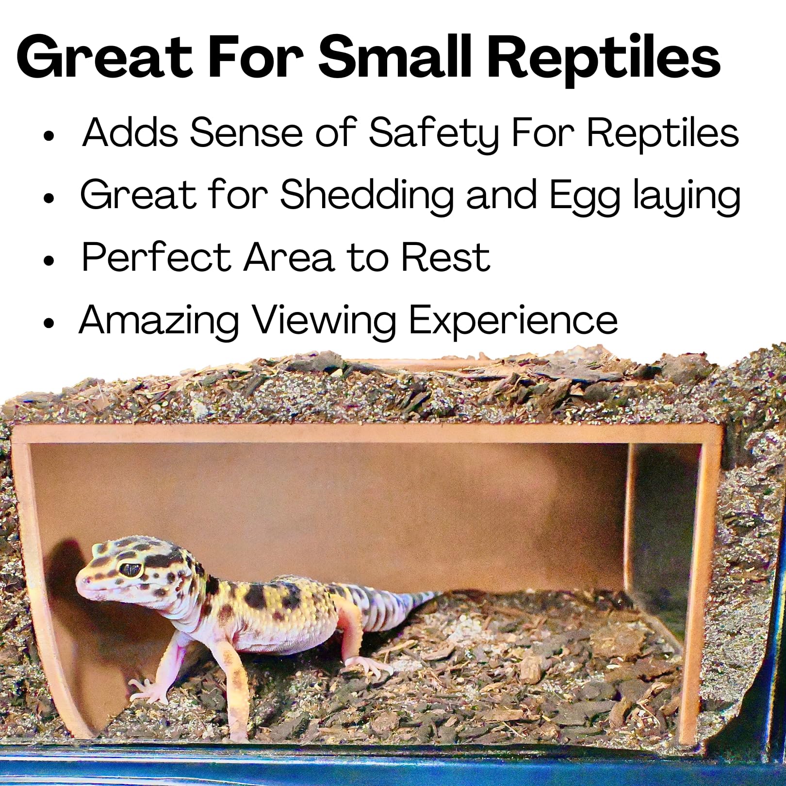 Lucky Critter reptile installé dans la grotte illustre confort et comportement naturel observé