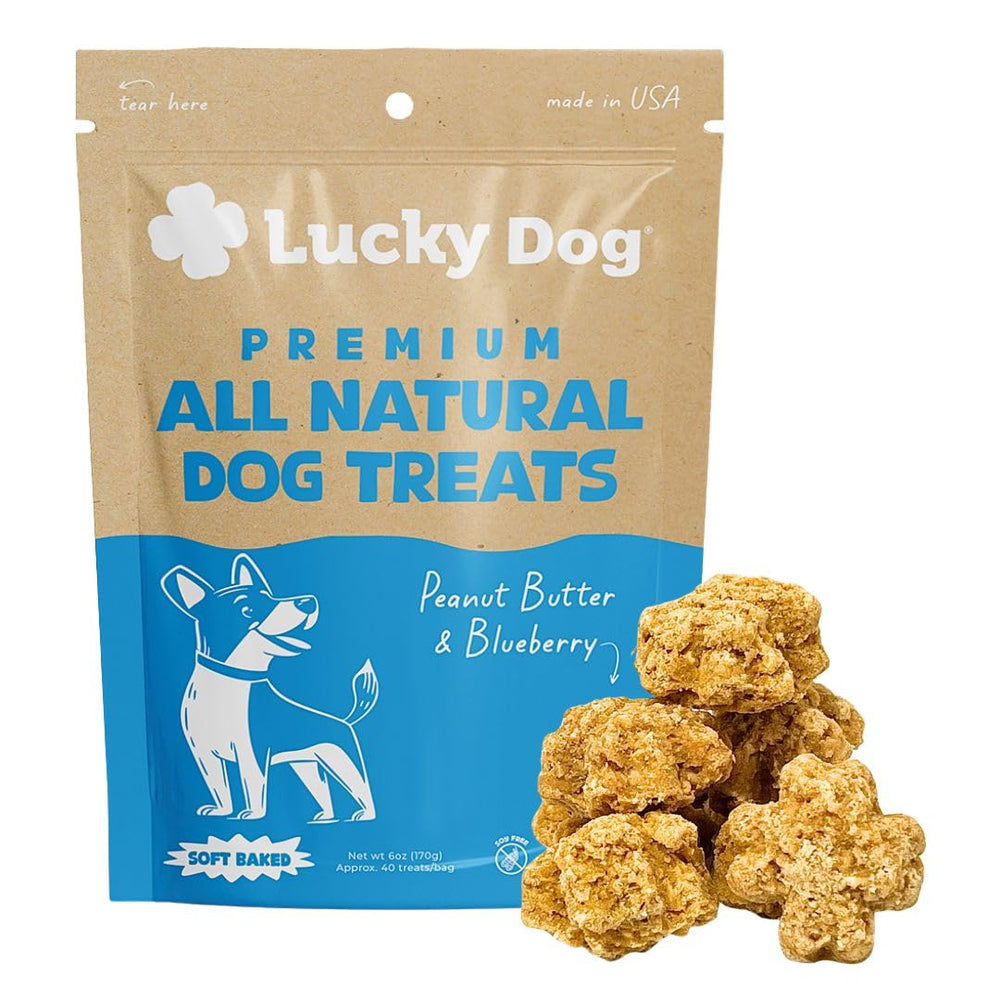 Lucky Dog chiot mangeant friandise joie et appétence
