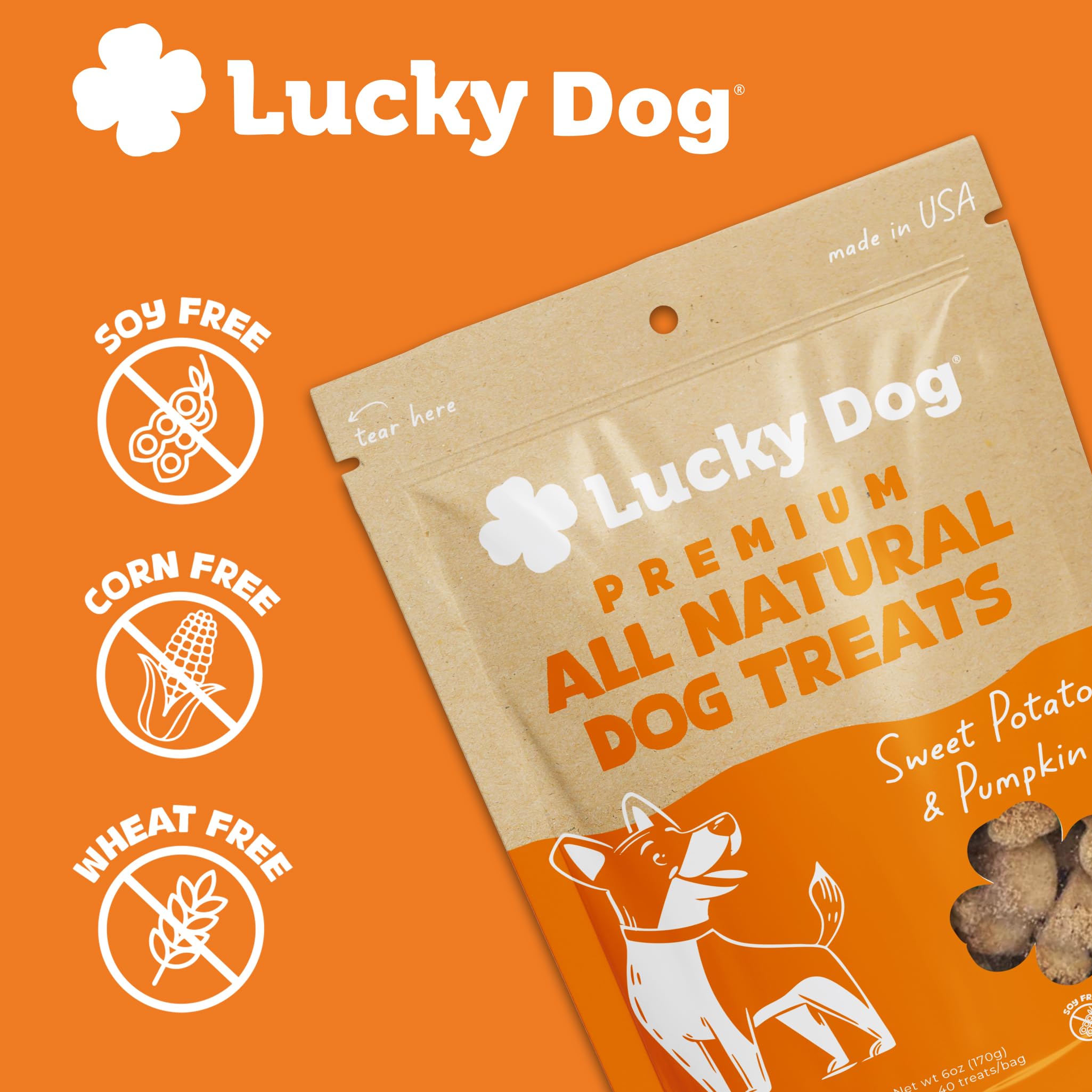 Lucky Dog comparaison de taille avec pièce pour visualiser dimension