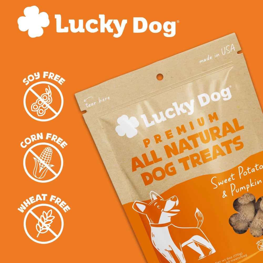 Lucky Dog comparaison de taille avec pièce pour visualiser dimension
