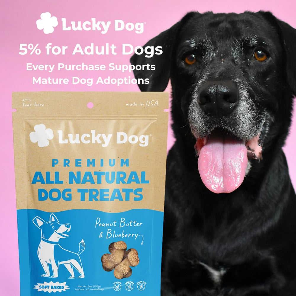 Lucky Dog mise en scène en cuisine présentation naturelle et quotidienne