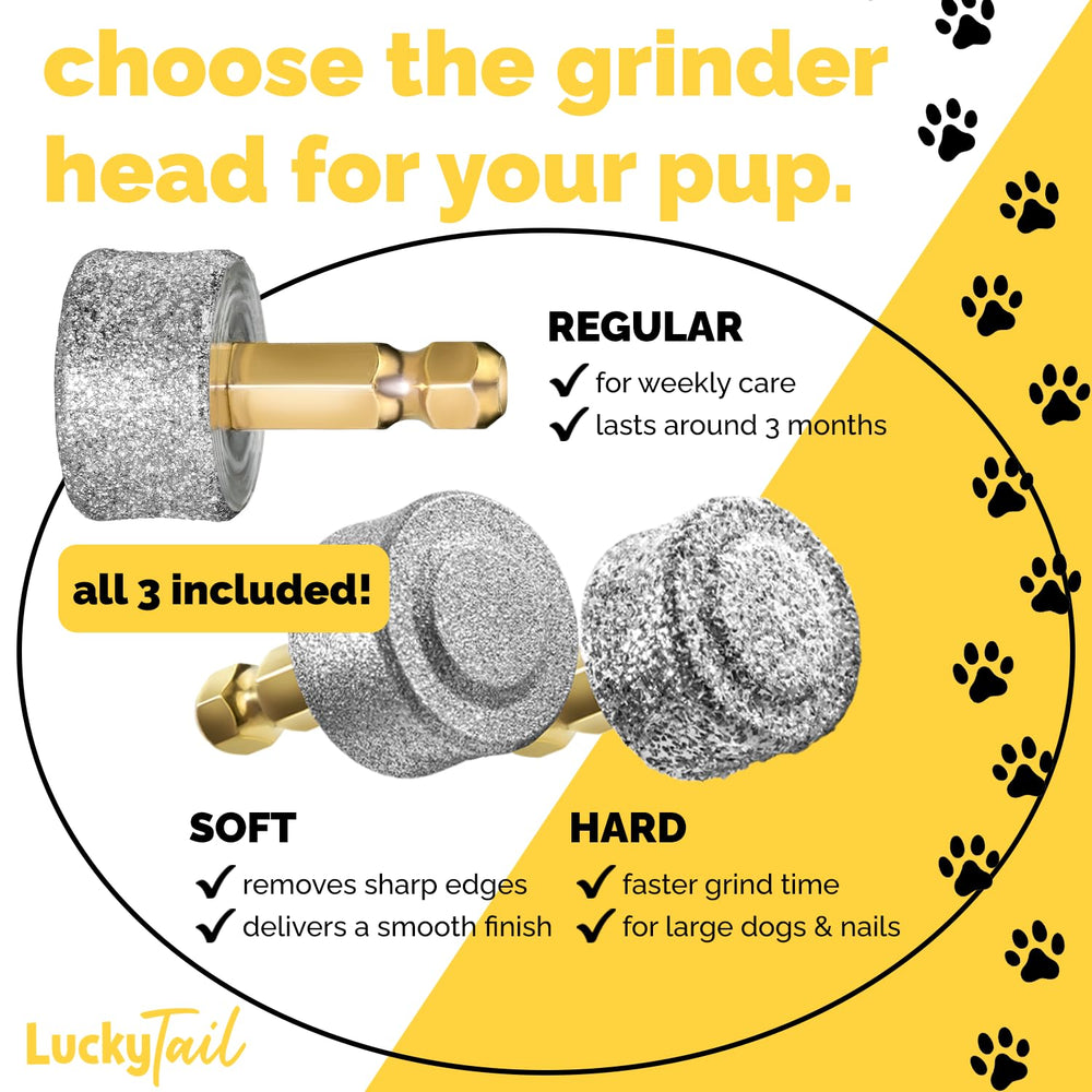 LUCKY TAIL gros plan diamant pour limage rapide et durable