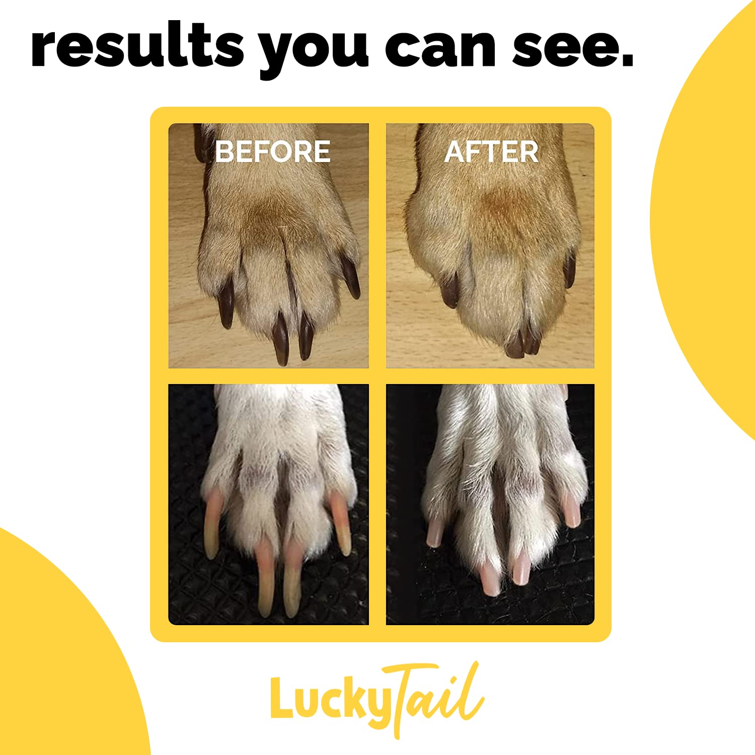 LUCKY TAIL scène toilettage à la maison, confort et sérénité pour chien