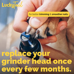 LUCKY TAIL tête en usage sur lime pour coupe douce