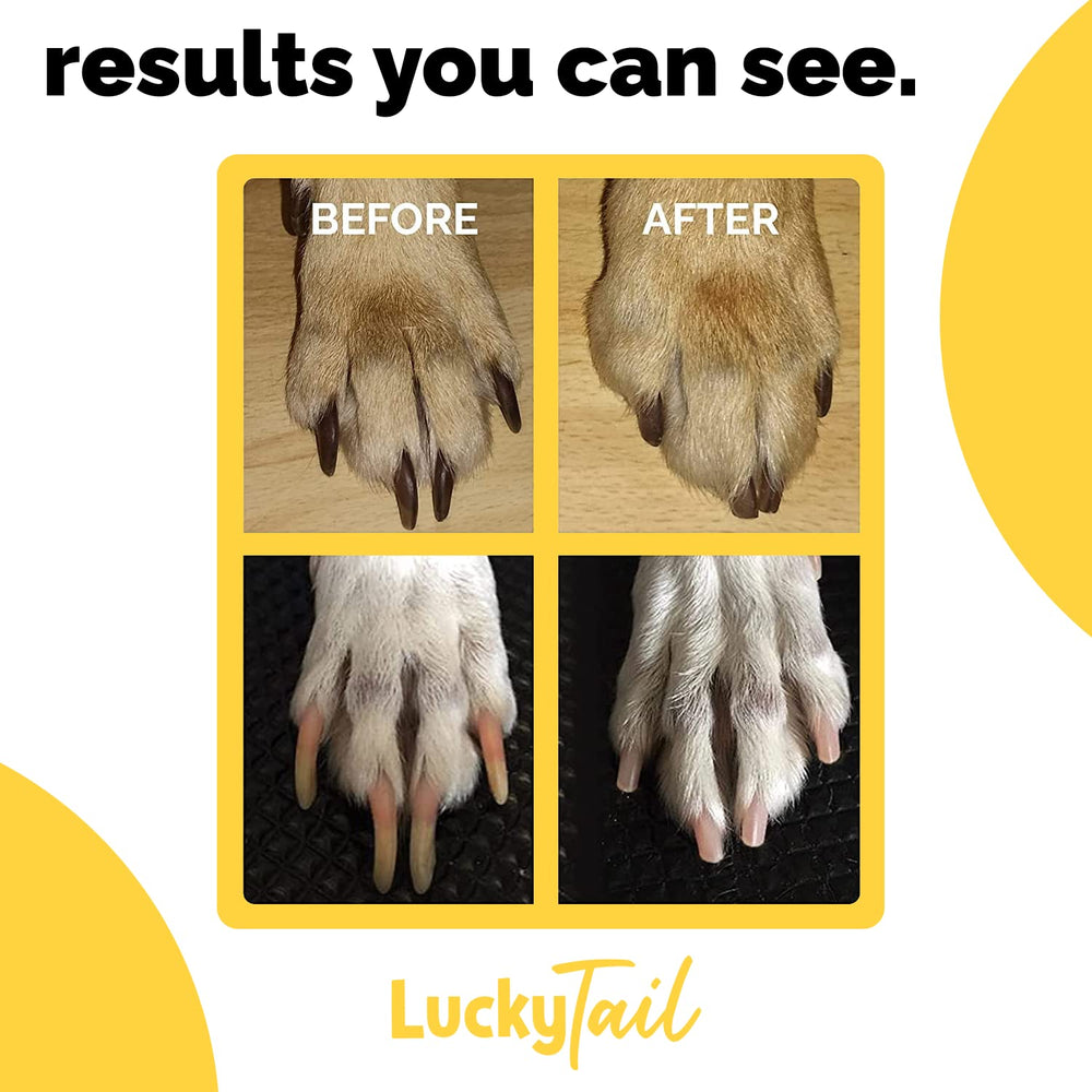 LUCKY TAIL toilettage domicile montrant confort et simplicité