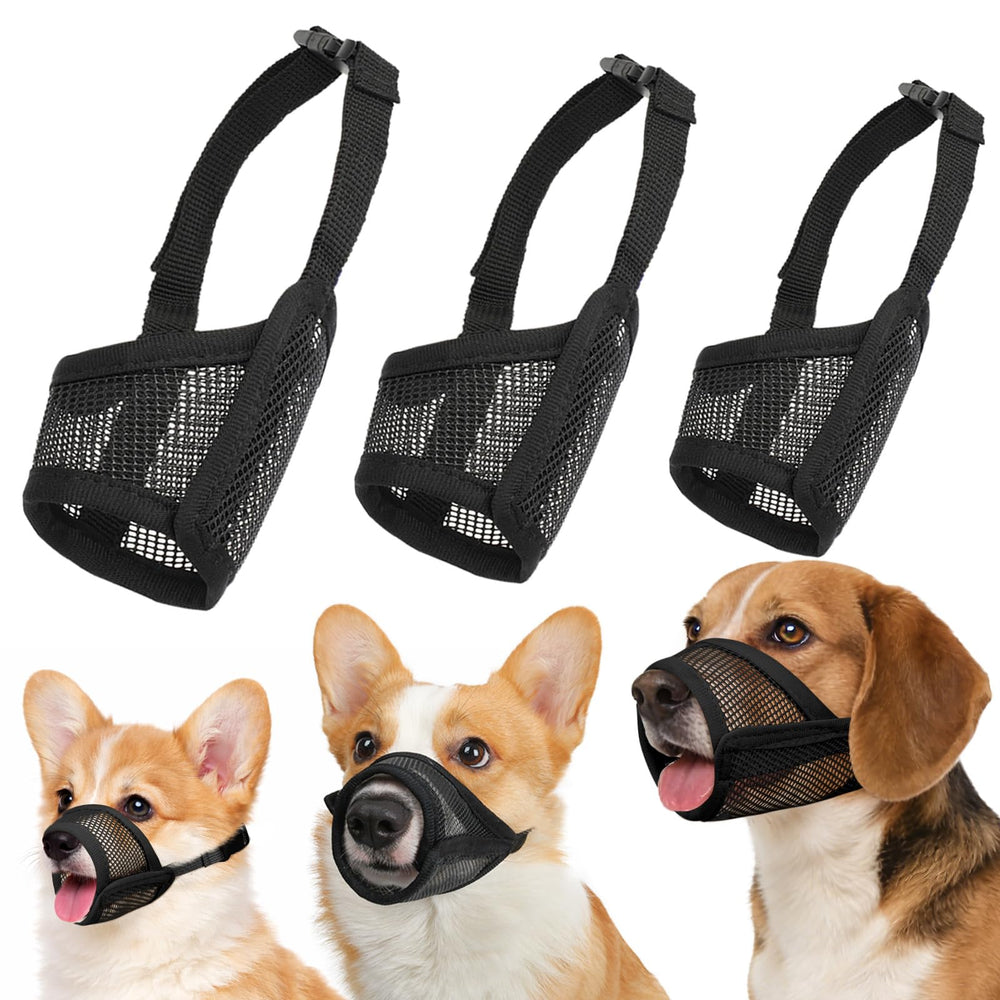LUCKYPAW vue avant du paquet montrant le set et ses variantes confortables