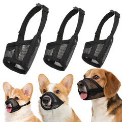 LUCKYPAW vue avant du paquet montrant le set et ses variantes confortables