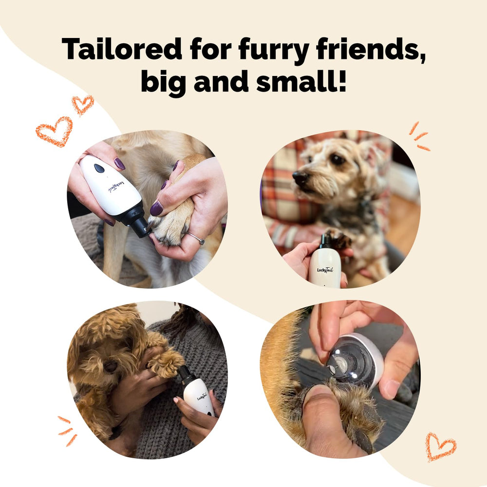 LUCKY TAIL comparaison taille avec main pour évaluer portabilité