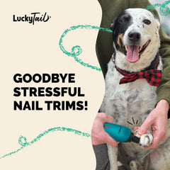 LuckyTail tenu en main pour montrer taille et prise confortable