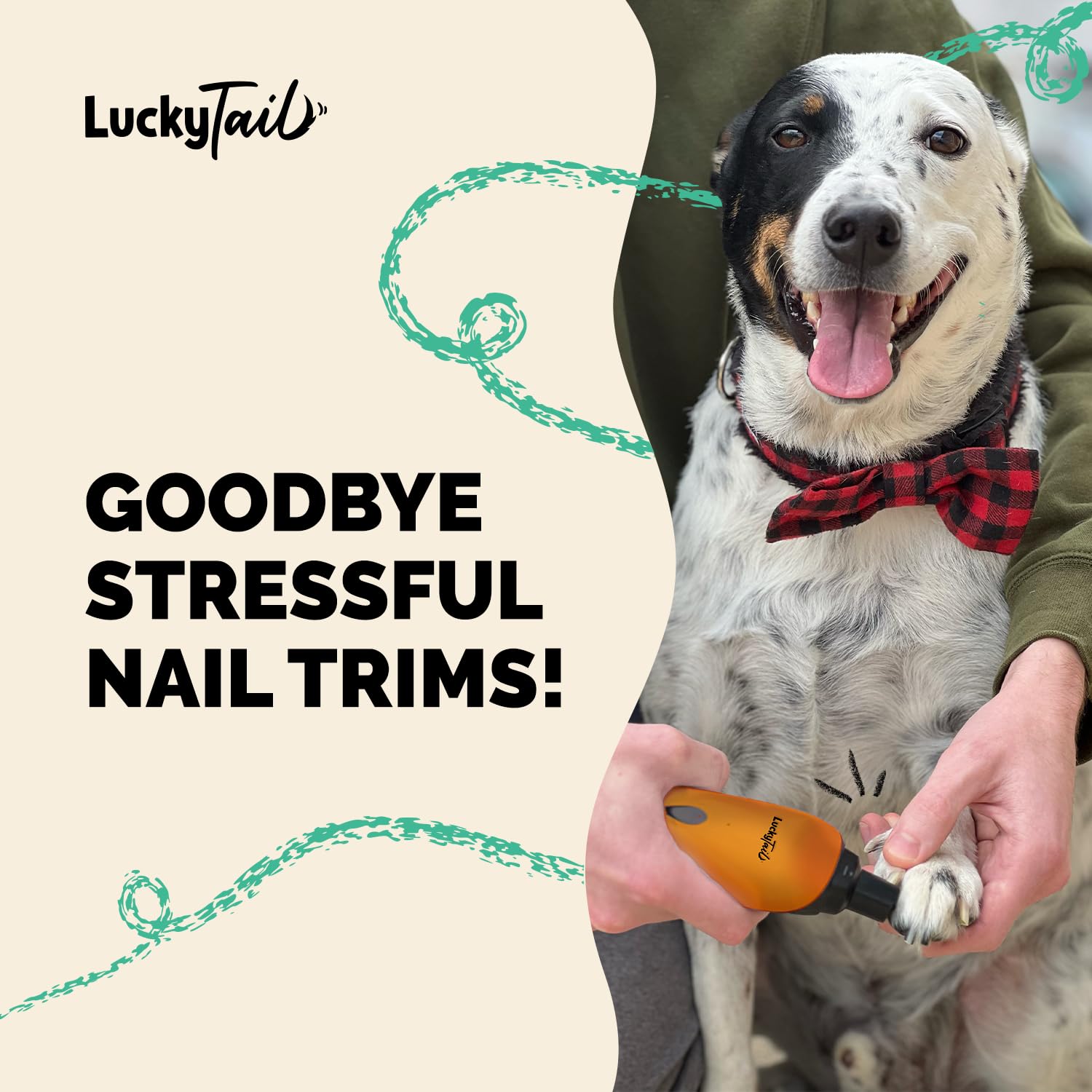 LuckyTail en usage sur chien calme grâce au moteur silencieux