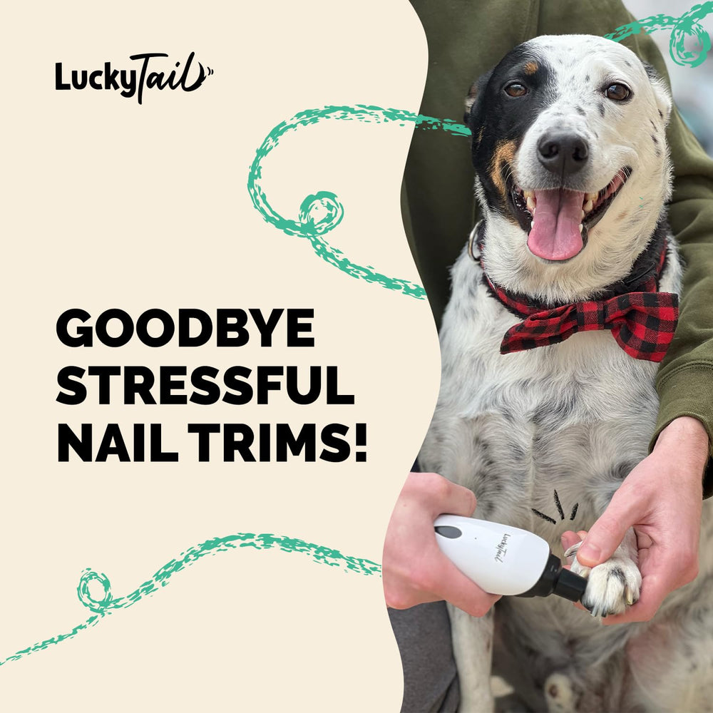 LUCKY TAIL accessoires et câble USB-C pour recharge rapide et durable