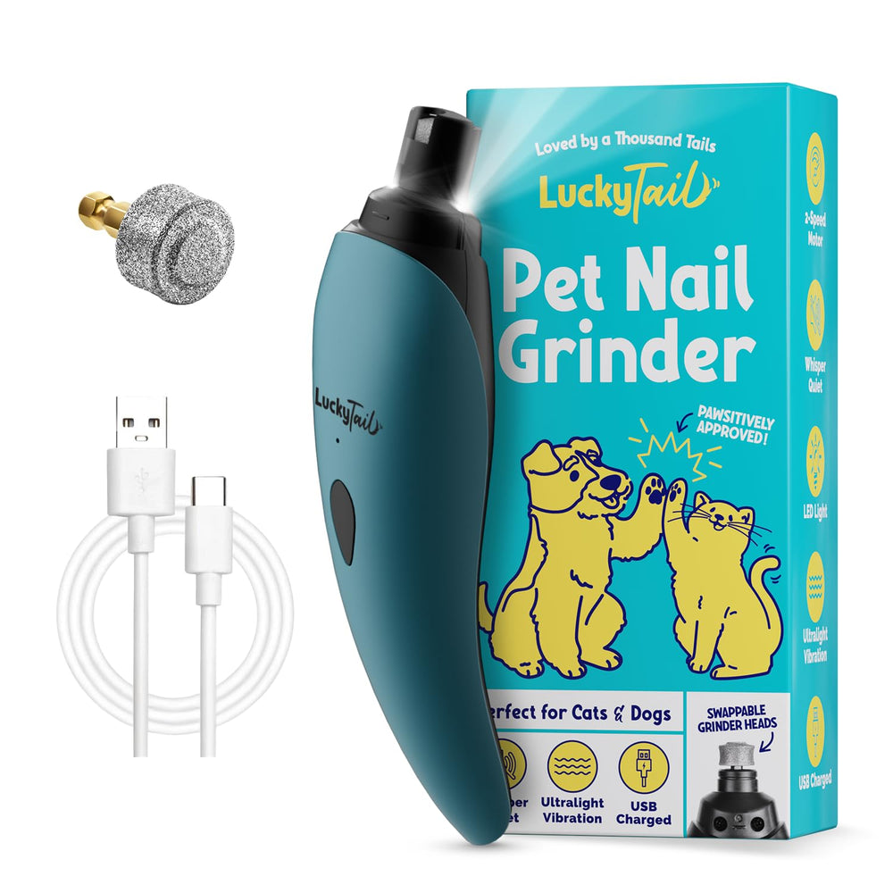 LuckyTail face avant montrant design ergonomique et usage confortable