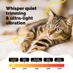 LUCKY TAIL tête diamantée en gros plan pour travail précis et sûr