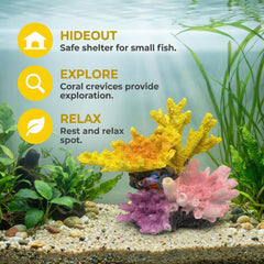 Ludzucy gros plan texture corail offrant surfaces anti-stress pour poissons