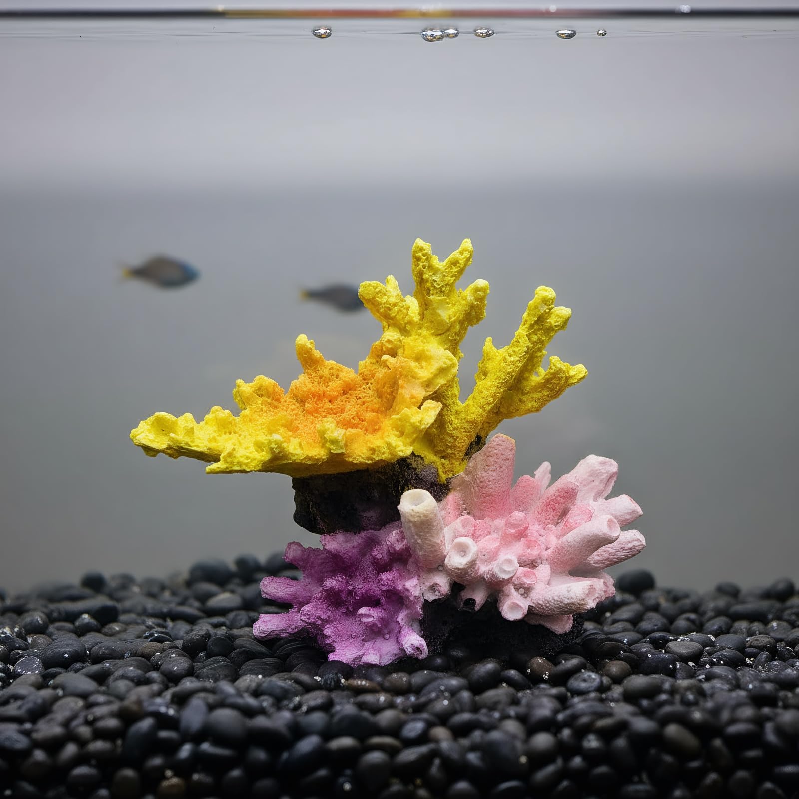 Ludzucy scène lifestyle décorant un coin d'aquarium naturel et calme