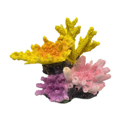 Ludzucy décor corail vue de face apportant couleur et profondeur