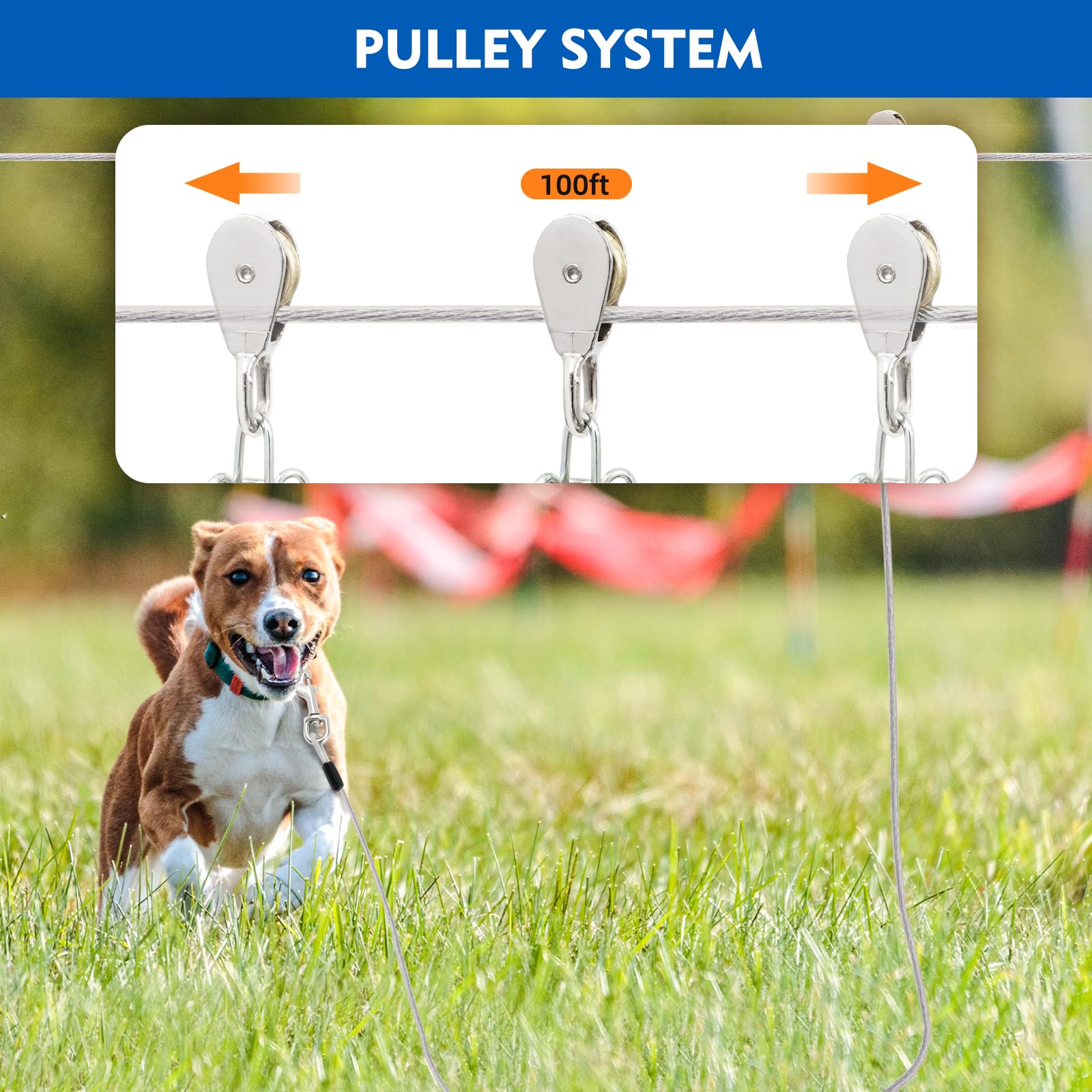 LUFFWELL dog runner en usage jardin illustrant liberté contrôlée pour chien actif
