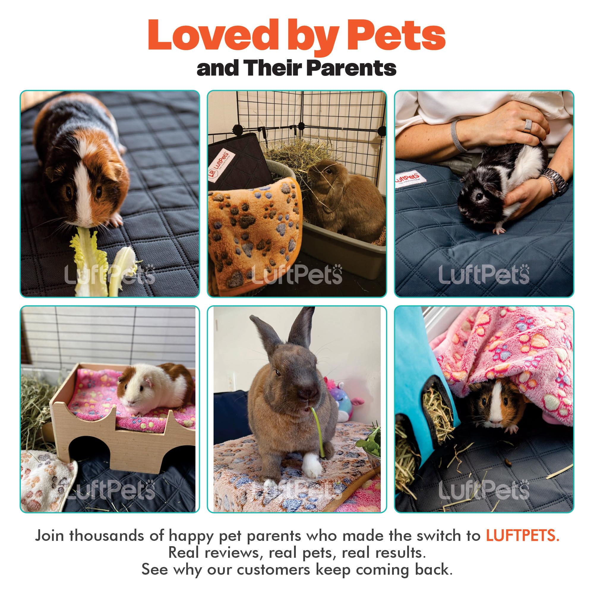 LUFTPETS comparaison de taille avec une règle montrant dimensions 47x24 pouces pour cages