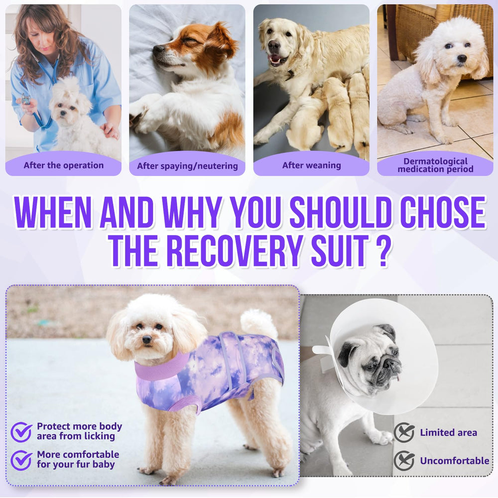 Ceinture abdominale ajustable Lukovee, maintien personnalisé et confort
