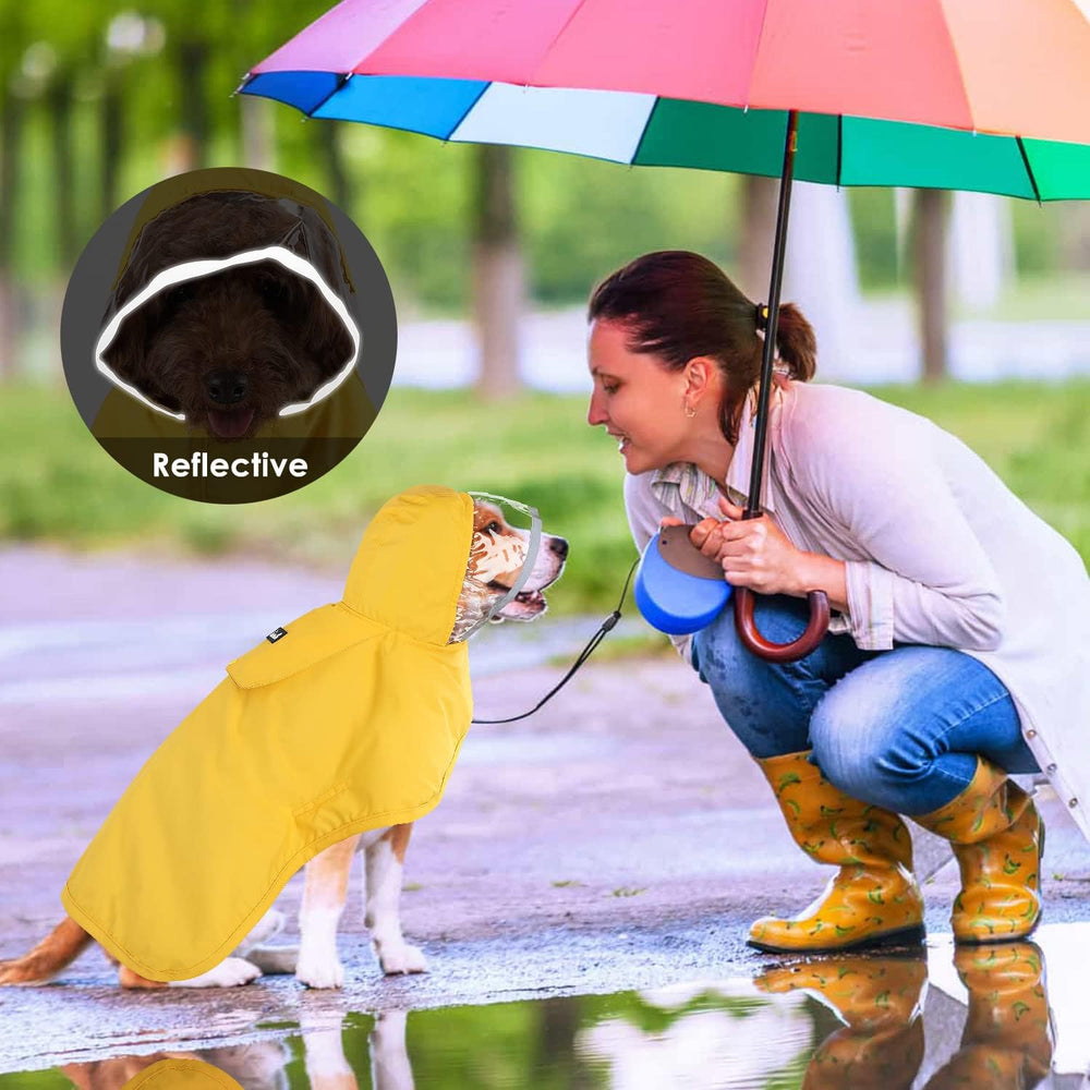 Lukovee chien en promenade garde-secoupe imperméable visible et pratique