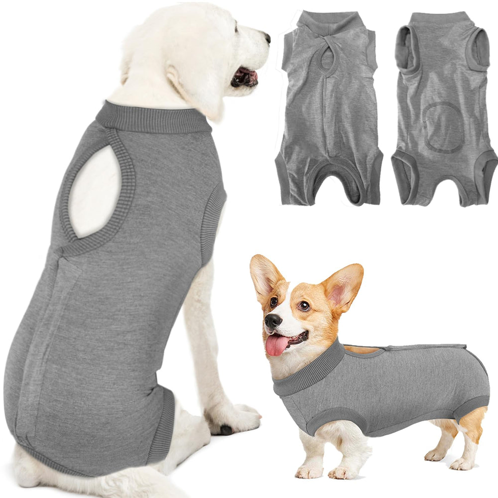 Lukovee vue avant sur chien montrant protection complète et confort