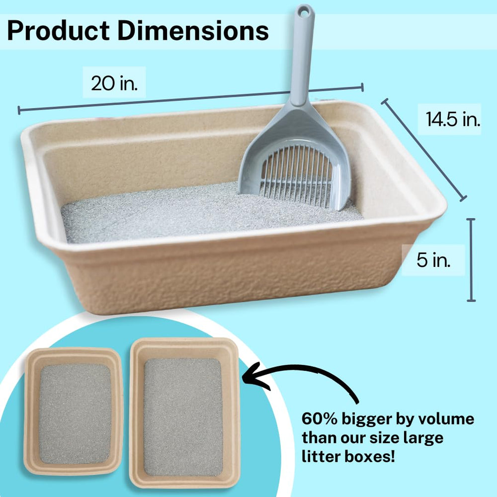 Luli & Cat gros plan sur la texture du carton pour durabilité