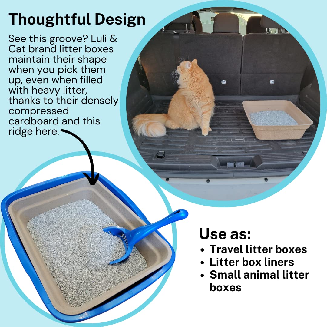 Luli & Cat comparaison de taille avec main pour échelle, idéal pour grands chats