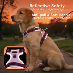 LULUPET laisse 1,5 m et collier assorti pour promenades complètes