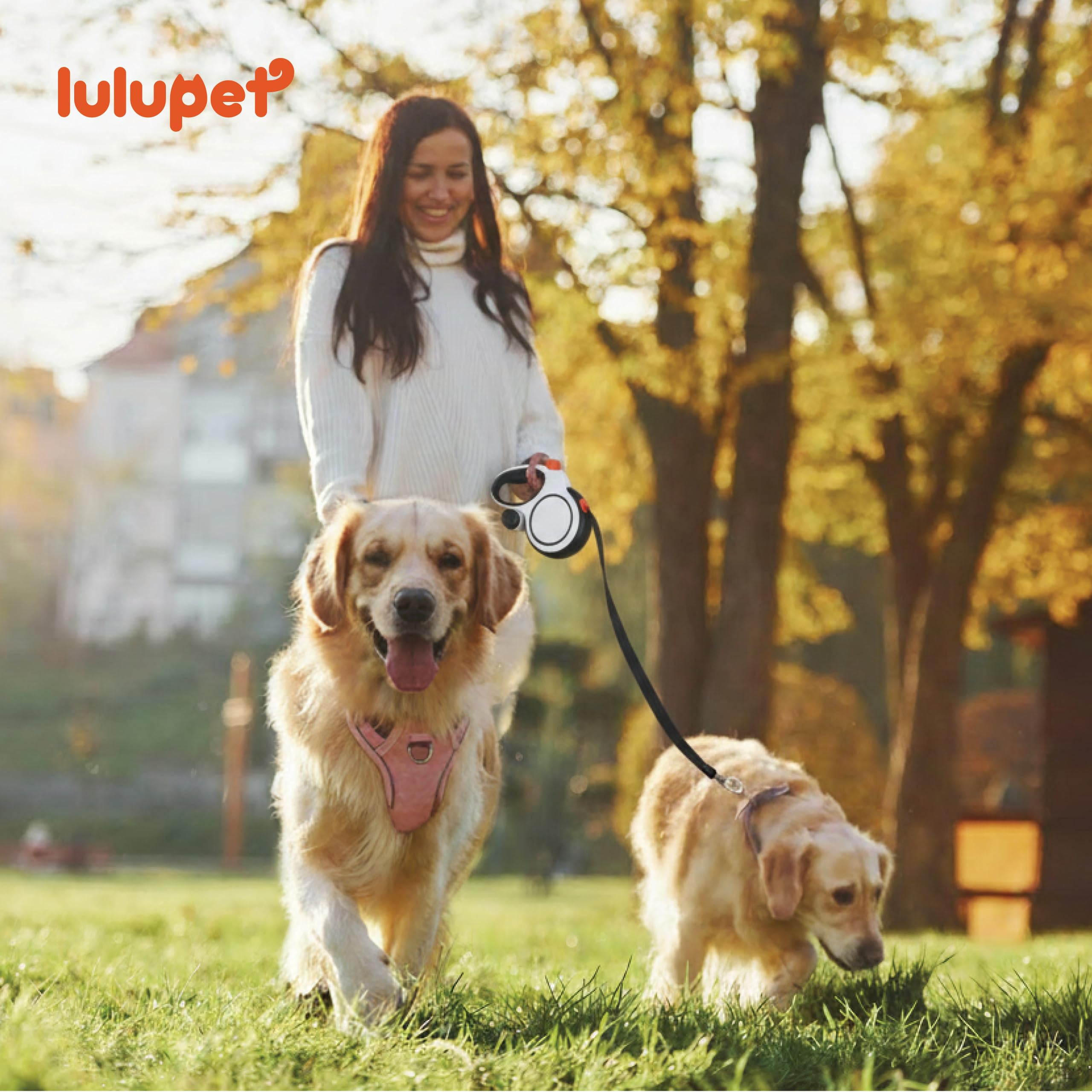 LULUPET bandes réfléchissantes à 360° pour meilleure visibilité nocturne