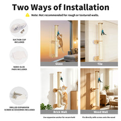 Lulu's World outils et pastilles nano-glue fournis, installation propre et rapide