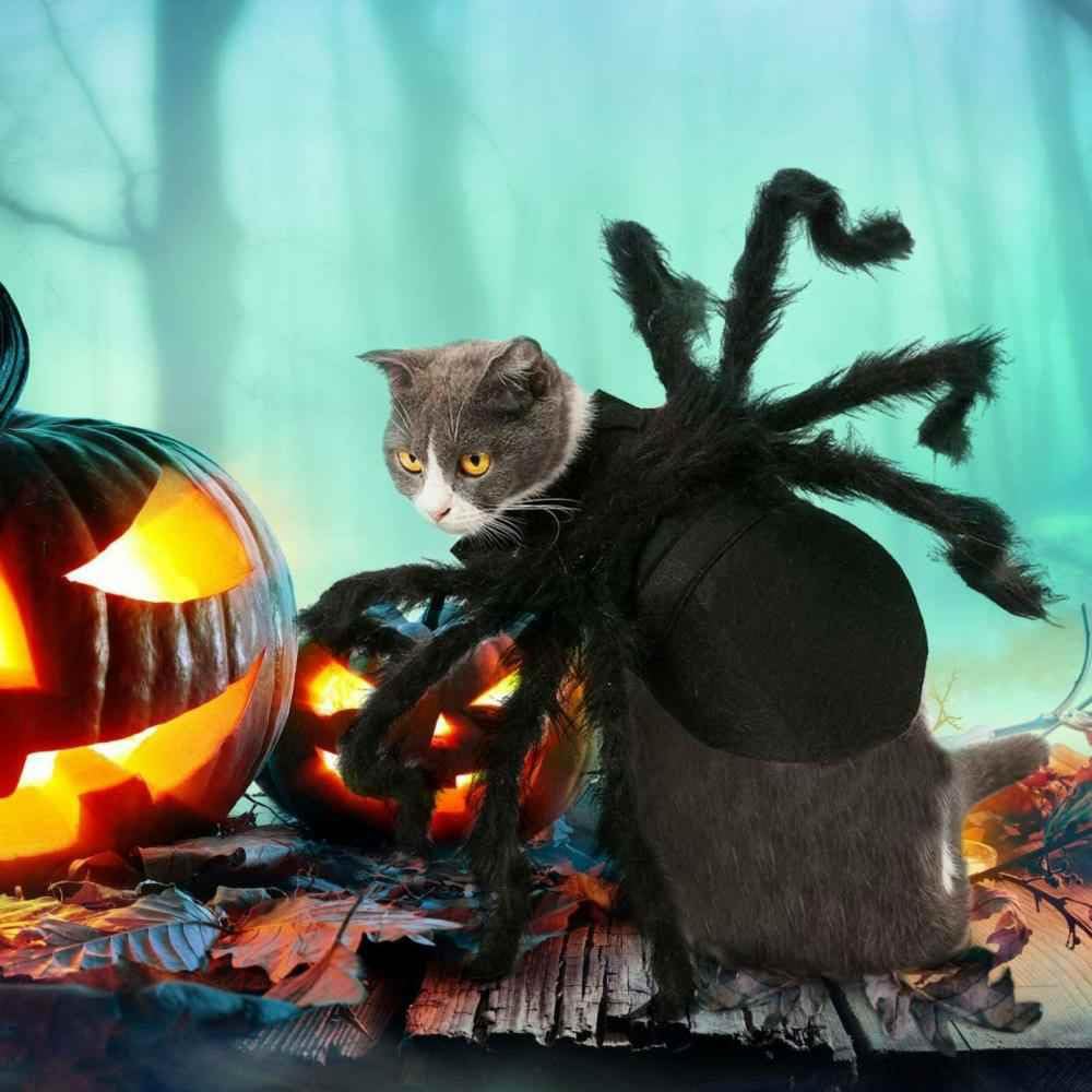 Lumadecor animal déguisé dans salon créant ambiance Halloween conviviale