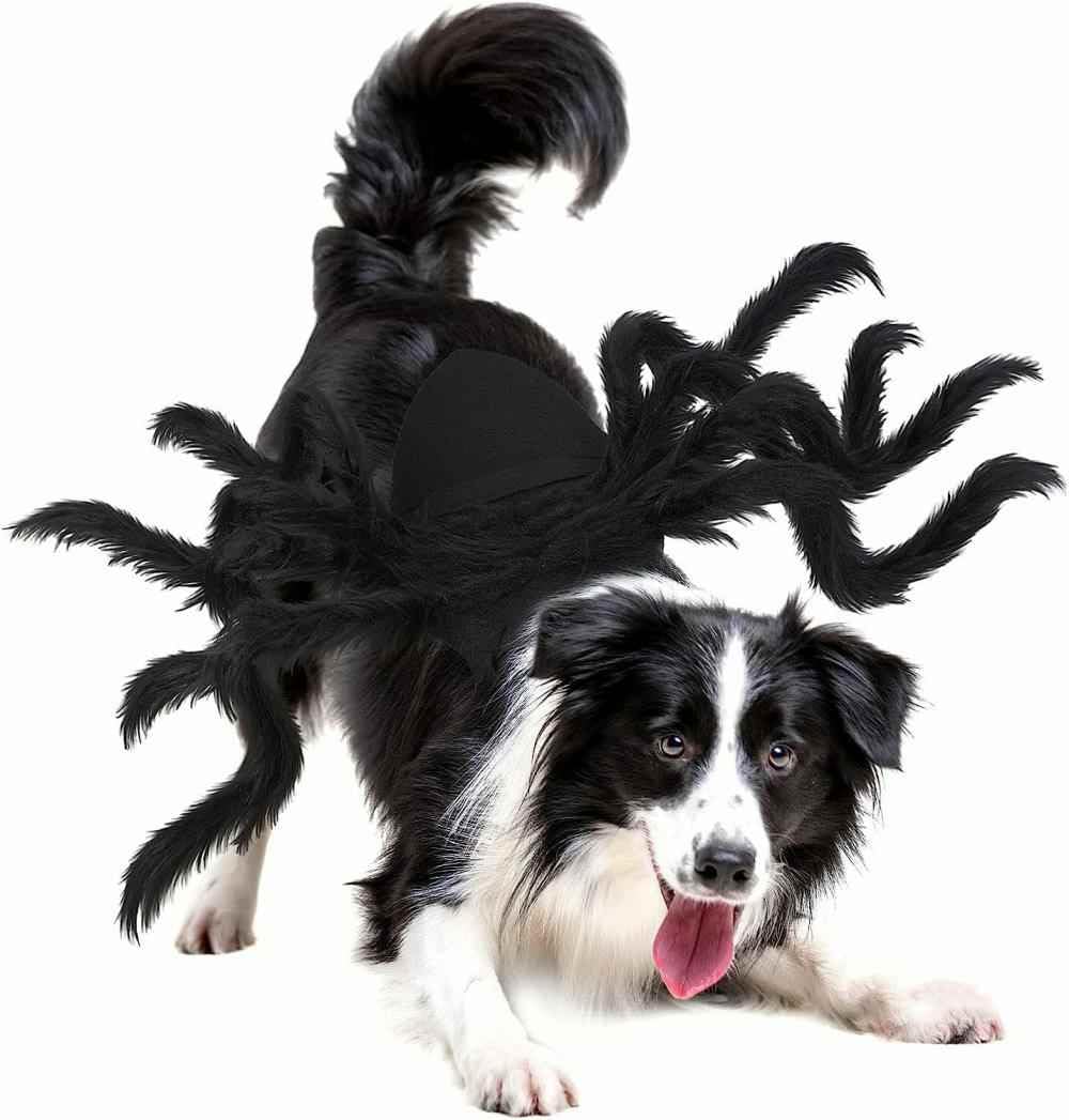 Lumadecor costume porté sur chat illustrant confort et effet photo festif
