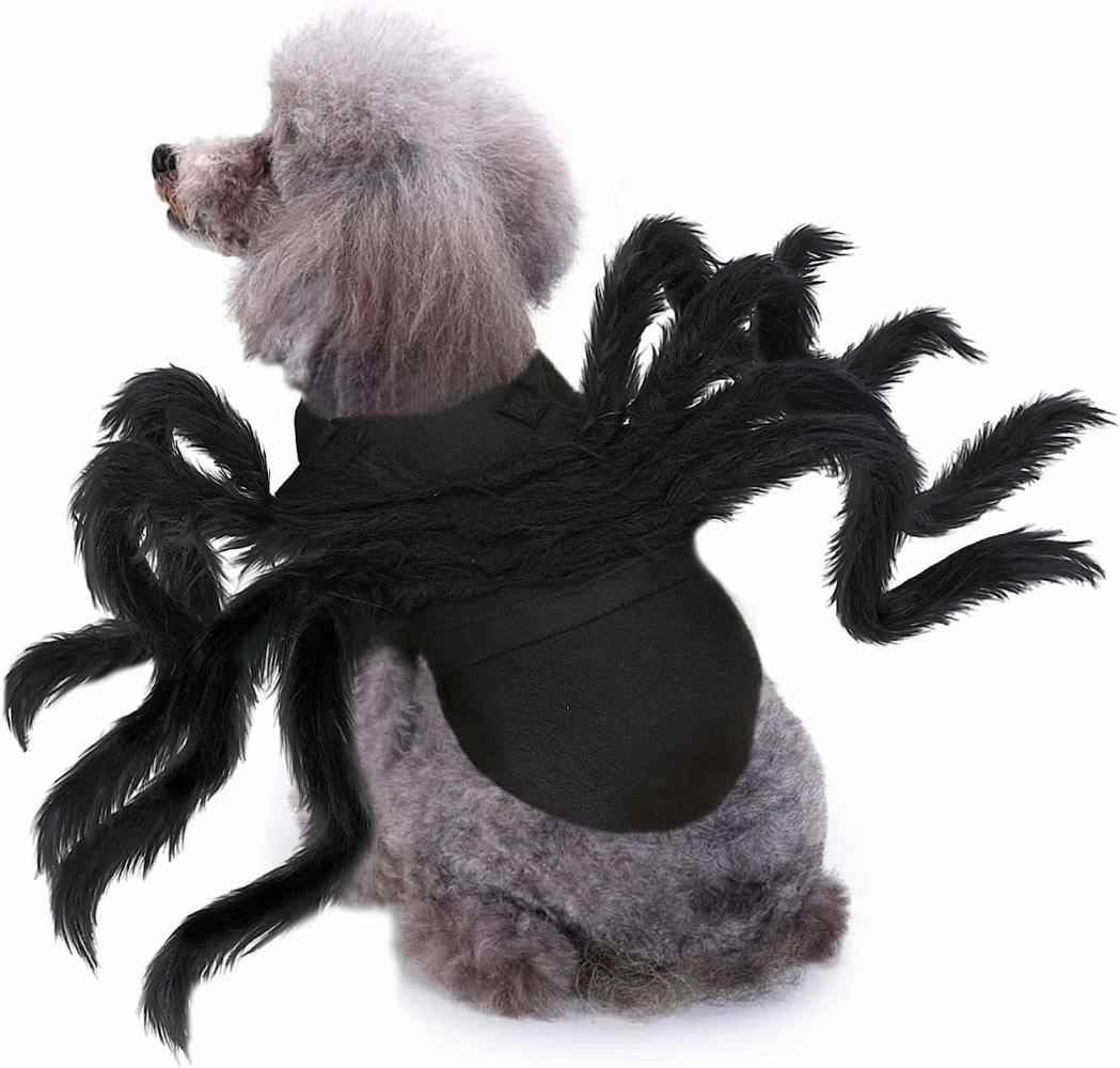 Lumadecor fermeture velcro ajustable démontrant maintien sûr et protection du pelage