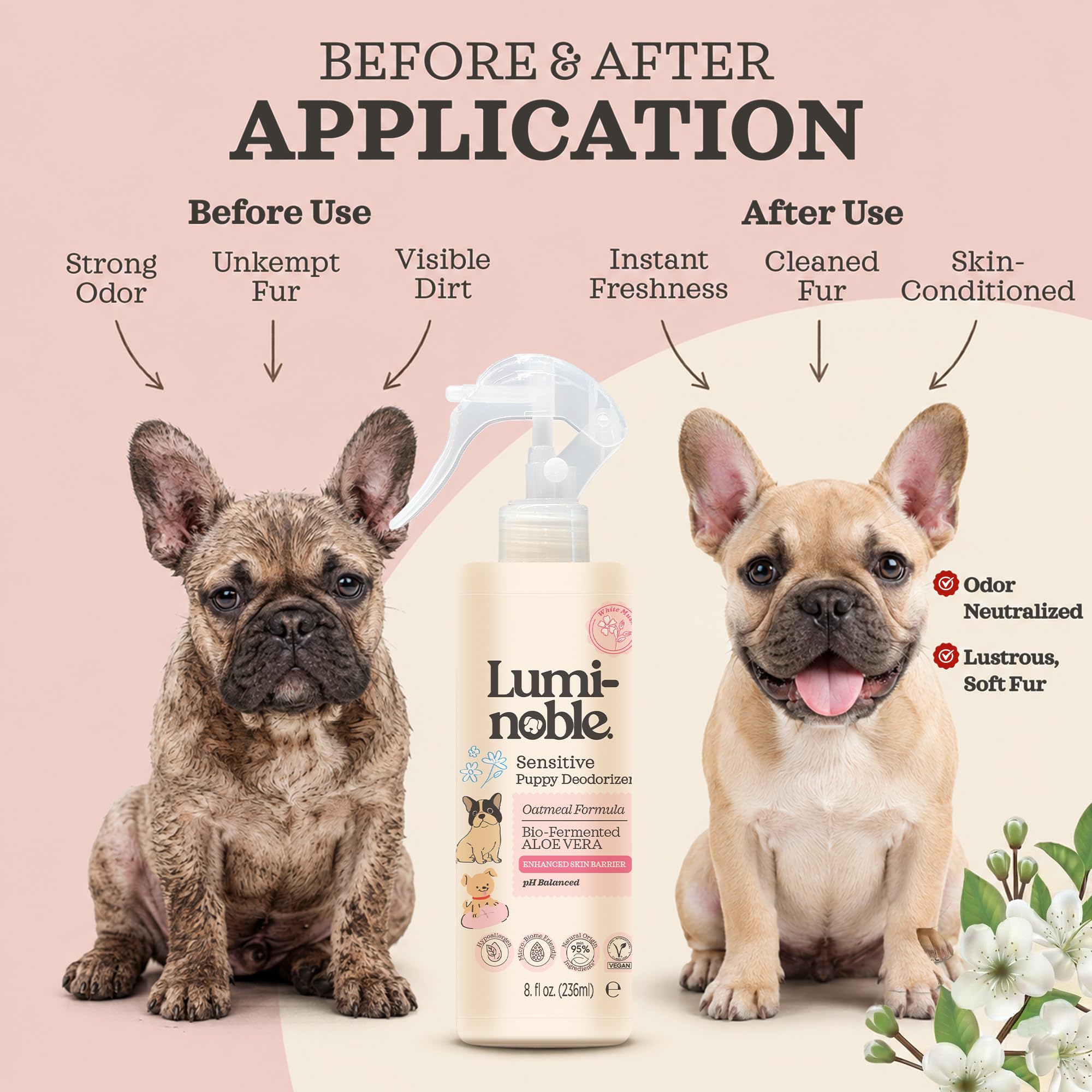 LUMI-NOBLE utilisé sur un chien à la maison pour rafraîchir le pelage